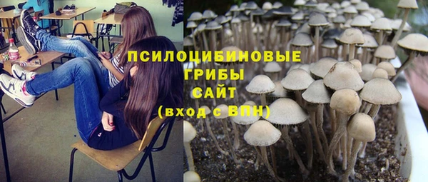 PSILOCYBIN Волосово