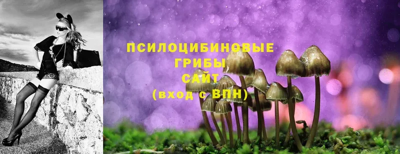 Галлюциногенные грибы Magic Shrooms  KRAKEN зеркало  Агрыз 